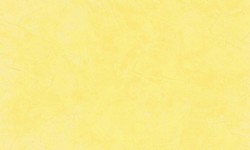 Decorazza STUCCO VENEZIANO / Цвет #SV  10-06